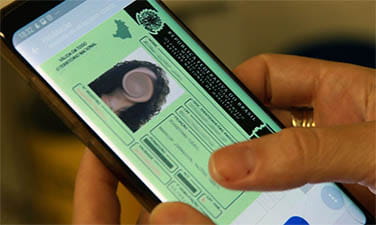 Carteira Digital de Trânsito passa a permitir indicação de condutor