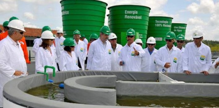 Conselho propõe elevar para 15% em 2023 mistura de biodiesel no diesel