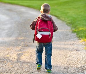 Na volta às aulas, transporte dos alunos exige cuidados importantes