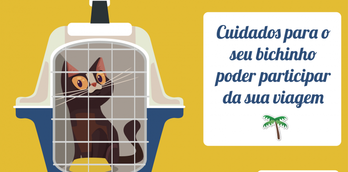 Vai viajar com seu pet? Se liga nas dicas de segurança!