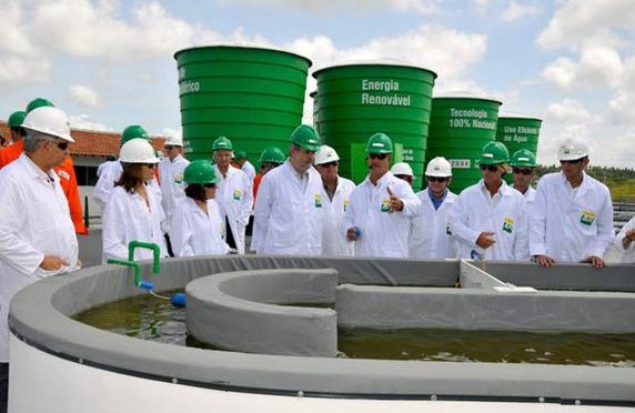Conselho propõe elevar para 15% em 2023 mistura de biodiesel no diesel